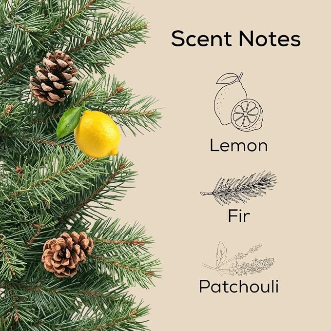 Scent Fill Fraser Fir & Balsam Pine Plug in Air Freshener, Scented Oil Refills, 2 Refills + Diffuser