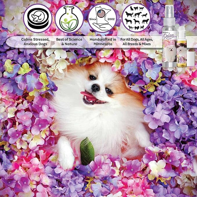The Blissful Dog Pomeranian Relax Roll-ON Aromatherapy for Dogs - Anxiety Relief for Dogs