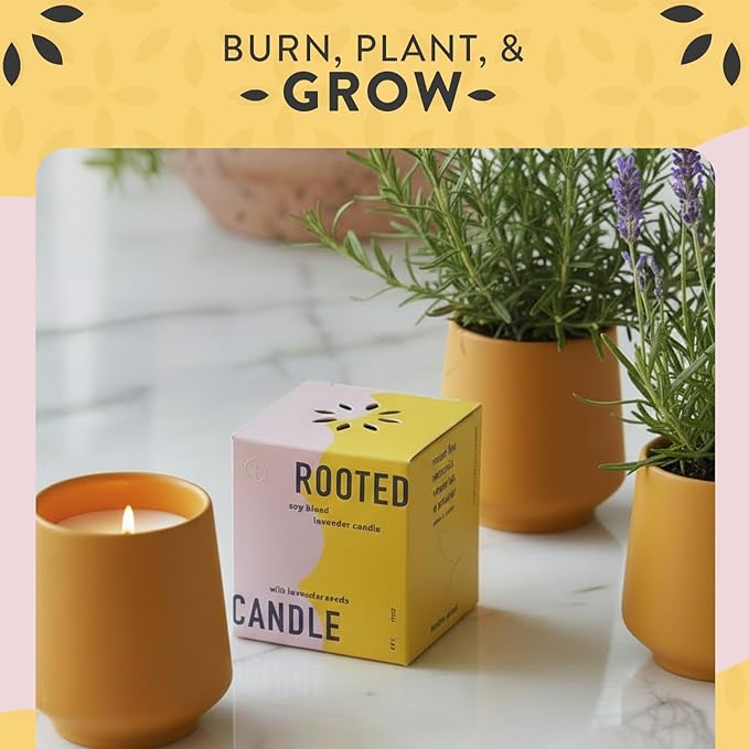 Modern Sprout Soy Candle Planter - Grows Lavender -Cedarwood Scent - 2-Pack | 2 in 1 Soy Candle - 6 oz w/42-hr burn each - cedarwood scent - ceramic vessel reuses as a planter for non-GMO lavender seeds