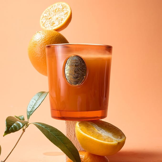 M&SENSE Orange Goji Scented Candle | Orange Candle for Home Scented, Gift for Women | 9.2 oz Soy Wax Candle Set for Relaxation, Gifting