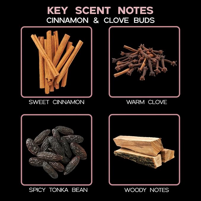 Cinnamon & Clove Buds Reed Diffuser Set, Room Fragrance, Shelf Decor | Cinnamon, clove buds, and tonka bean profile, home scent, decorative glass bottle, entryway, guest bathroom,