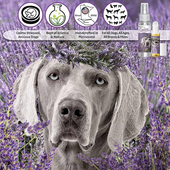 The Blissful Dog Weimaraner Relax Roll-ON Aromatherapy for Dogs - Anxiety Relief for Dogs