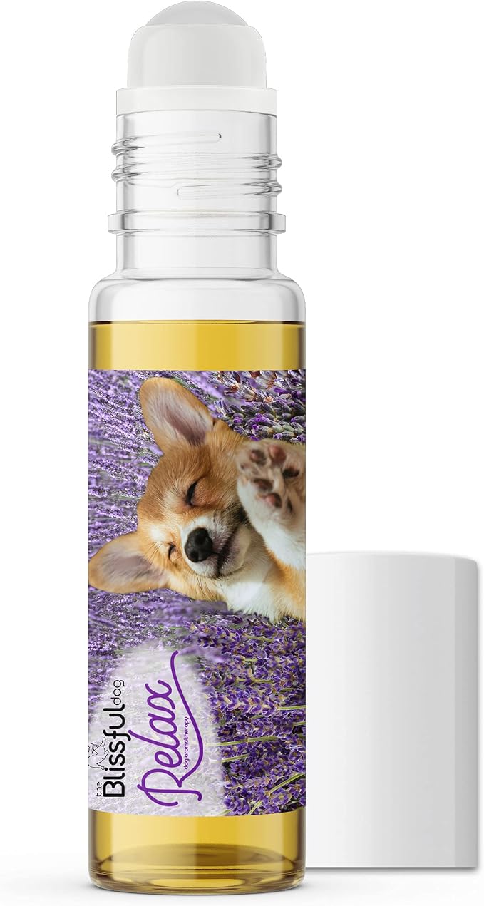 The Blissful Dog Corgi Relax Roll-ON Aromatherapy for Dogs - Anxiety Relief for Dogs