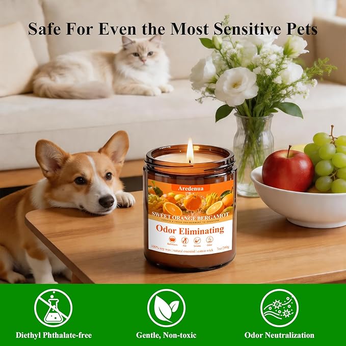 Sweet Orange Bergamot Odor Eliminating Candle | Eliminates 95% of Pet, Smoke, Food & Other Smells – Fresh Air Scented Candle Gentle for Family - Up to 50 Hour Burn time - 7 Oz Natural Soy Wax