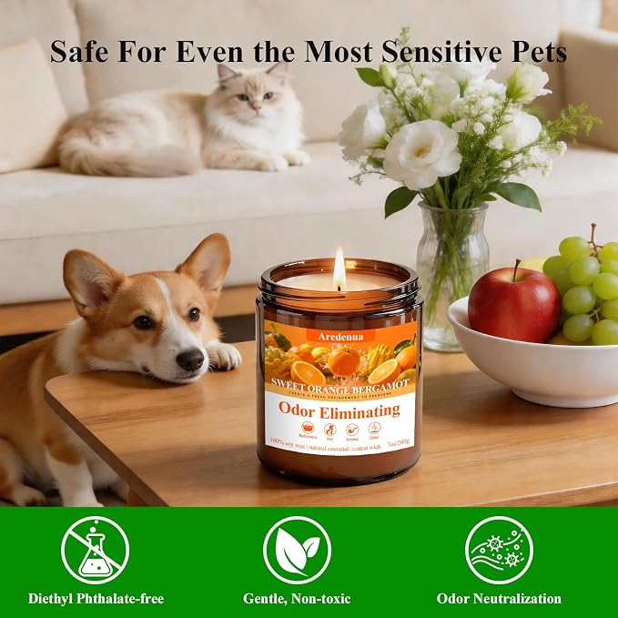 4 Pack Odor Eliminating Candles Set - Eliminates 95% of Pet, Smoke, Food & Other Smells - Air Freshing Scent of Orange/Mint/Lavender/Cotton - Up to 200 Hour Burn time - 28 oz Natural Soy Wax