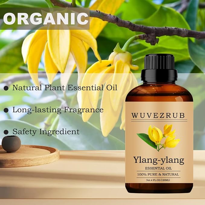 Ylang-Ylang Essential Oil, 120ML Pure and Natural for Aromatherapy Diffuser - 4 Fl Oz