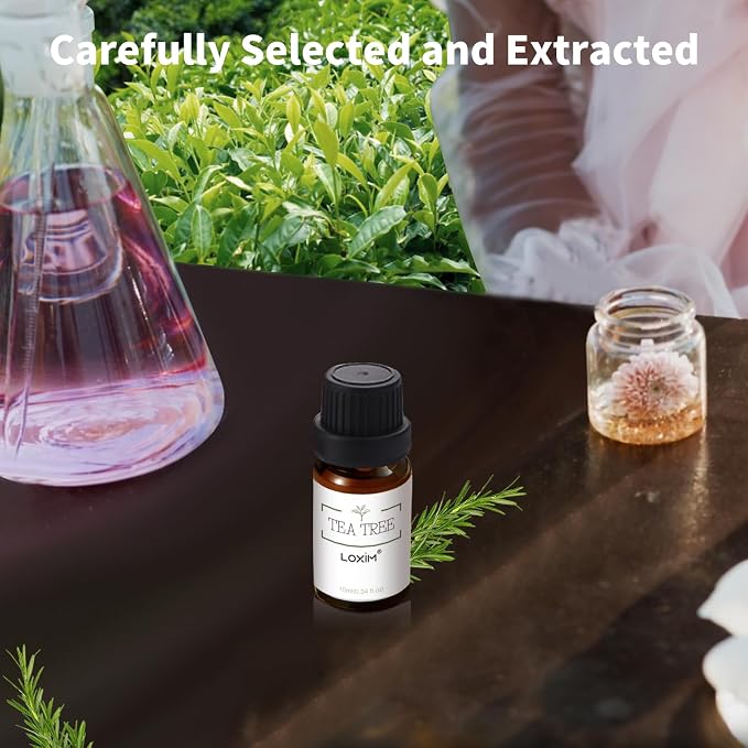 LOXIM Tea Tree Essential Oil, Pure Natural Essential Oils, Fragrance Oil Perfect for Humidifiers, Diffusers, Candle Making, Scent Home and Office (Pack of 1, Tea Tree)