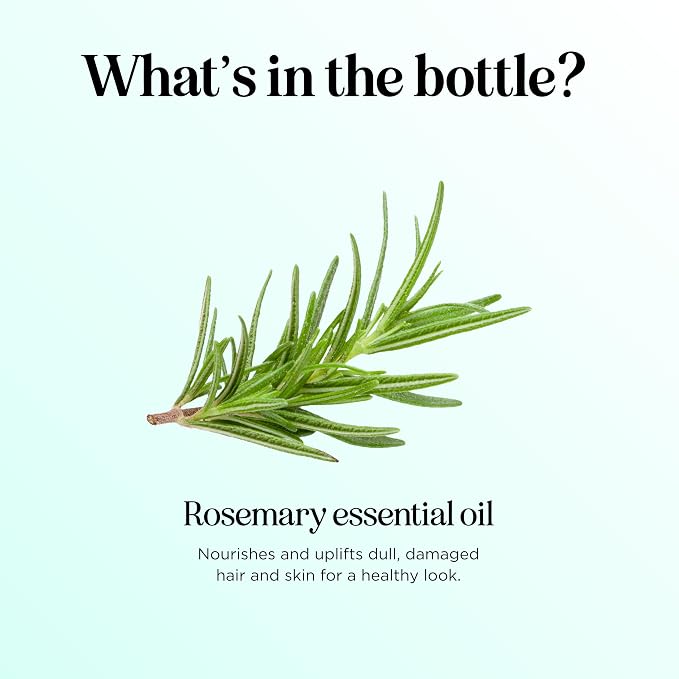 Pure Rosemary Essential Oil for Aromatherapy - Undiluted Rosemary Oil for Hair Skin and Nails - Rosemary Essential Oil for Diffusers Plus Hair Oil for Enhanced Shine Cleansing and Dry Scalp Treatment
