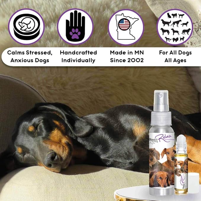 The Blissful Dog Dachshund Relax Dog Aromatherapy Spray for Your Dog's Anxiety