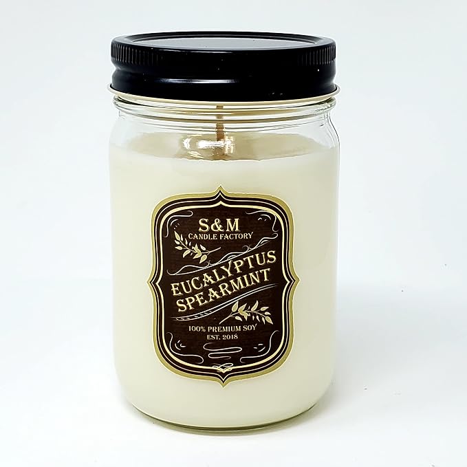 Eucalyptus Spearmint Candle Stress Free Aromatherapy All Natural Premium Soy Candles ~ 12oz Jars (Eucalyptus Spearmint)