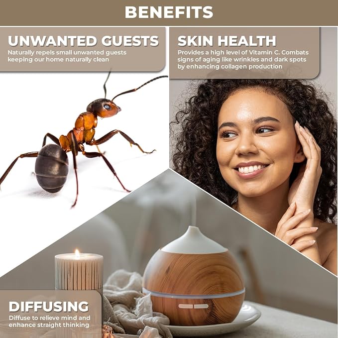 Plant Based Orange Essential Oil for Diffuser, Natural Cleaning Solutions, Aromatherapy, Skin Care and Home Wellness | Sweet Orange Oil for Skin, Home Scents | Scented Oils for Relaxation