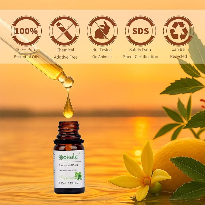Essential Oils Set Acacia Wood Gift Box - Uplift, Energize, Refresh, Top 8 Aromatherapy Oils for Diffuser Hotel Scent Home Fragrance Candle Making Grapefruit, Peppermint & More 10ml
