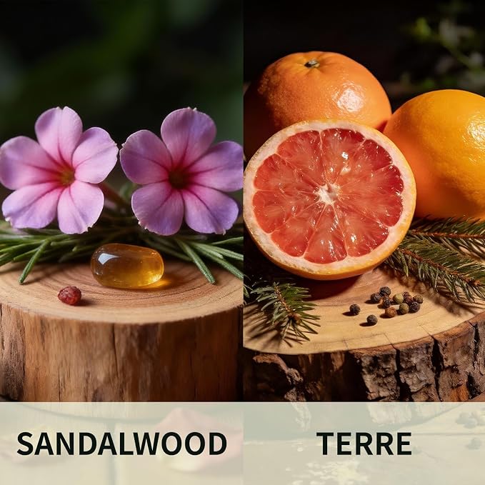 Car Air Freshener Hanging 2 Pack, Sandalwood & Terre Scent Essential Oil Diffuser Long Lasting Up to 150 Days, Cute Car Accessories with 2 Vent Clip for Women Men Gift, Odor Eliminator