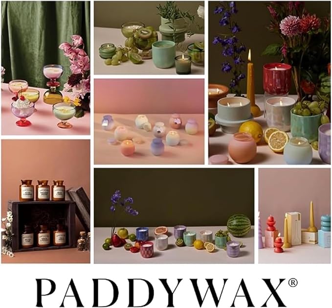 Paddywax Artisan Apothecary Scented Candle with Lid in Reusable Glass Jar, Clean-Burn Soy Candle with Approx. 54 Hour Burn Time, Pumpkin & Spice, 8 oz.