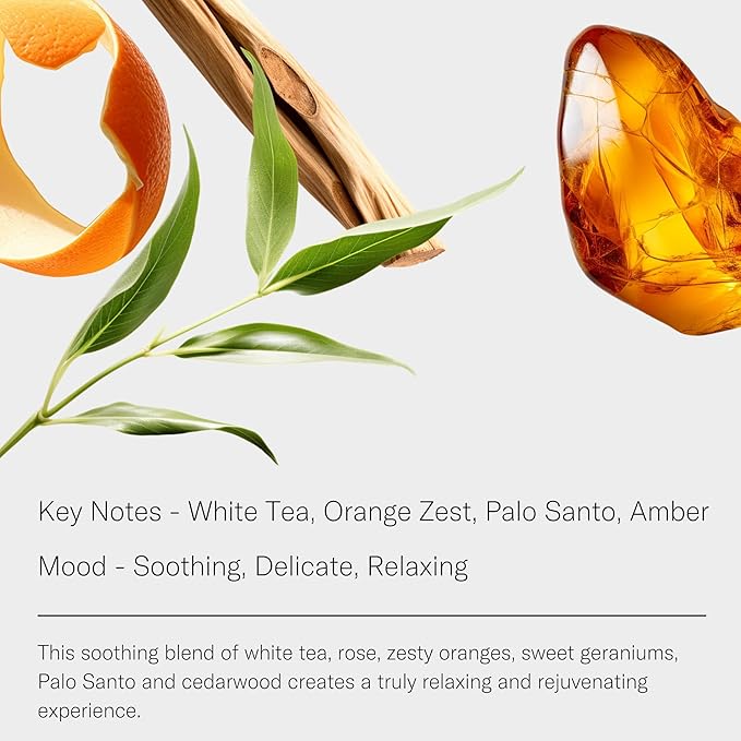 AromaTech White Tea Aroma Essential Oil Blend: Luxury Hotel Inspired Aromatherapy with White Tea, Orange & Palo Santo for Ultrasonic Diffusers & Nebulizers (500 mL)