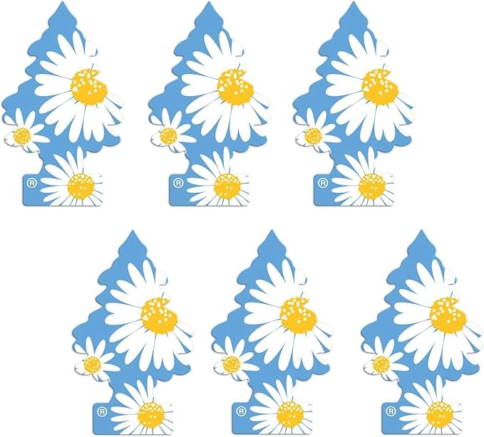 LITTLE TREES 076171673473 Daisy Fields Hanging Paper Tree for Home or Car, 6 Pack