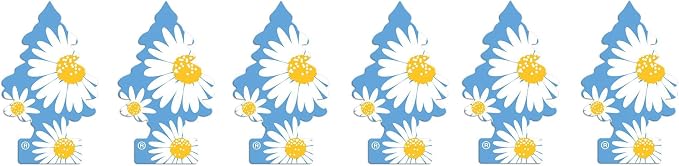 LITTLE TREES 076171673473 Daisy Fields Hanging Paper Tree for Home or Car, 6 Pack