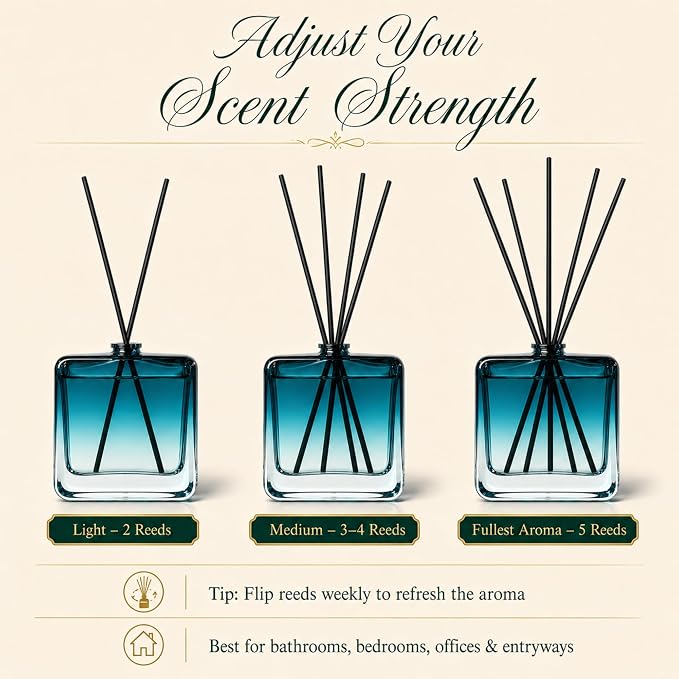 Reed Diffuser Set for Home Fragrance – 100ml Summer Sea Breeze Aromatherapy Diffuser with Reed Sticks, Long Lasting Flameless Fragrance for Bedroom, Bathroom & Living Room, Decorative Glass Bottle