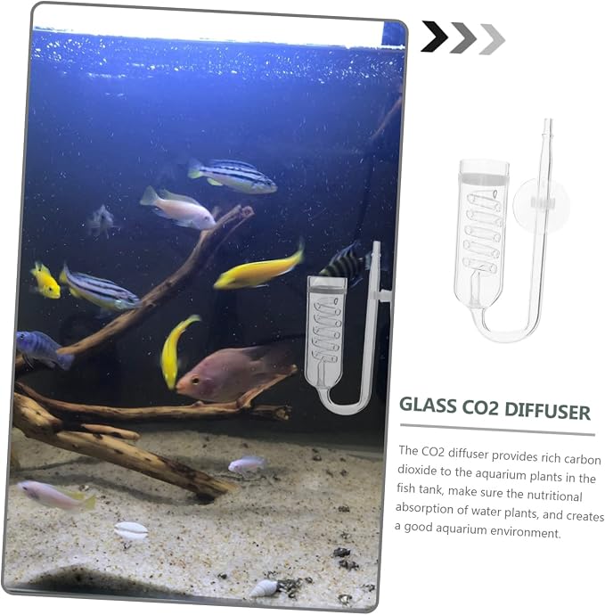 Milisten Transparent Diffuser Device for Aquarium Promotes Aquatic Plant Growth Durable Glass Material Easy to Install Carbon Dioxide Diffusion System for Fish Tank