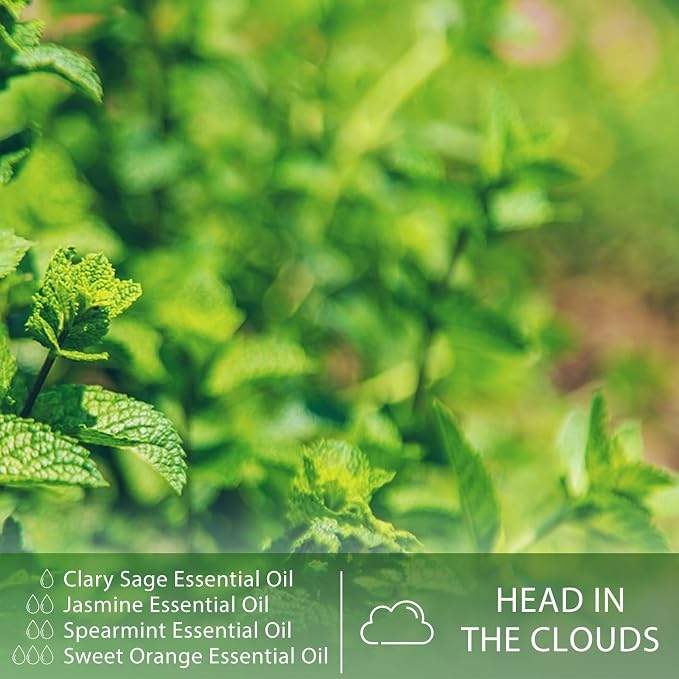 Spearmint 1.01fl.oz Essential Oil, PHATOIL Pure Aromatherapy Oils for Diffuser, Humidifier, Perfect for DIY Soap, Candle, Bath Bombs Making(30ml)