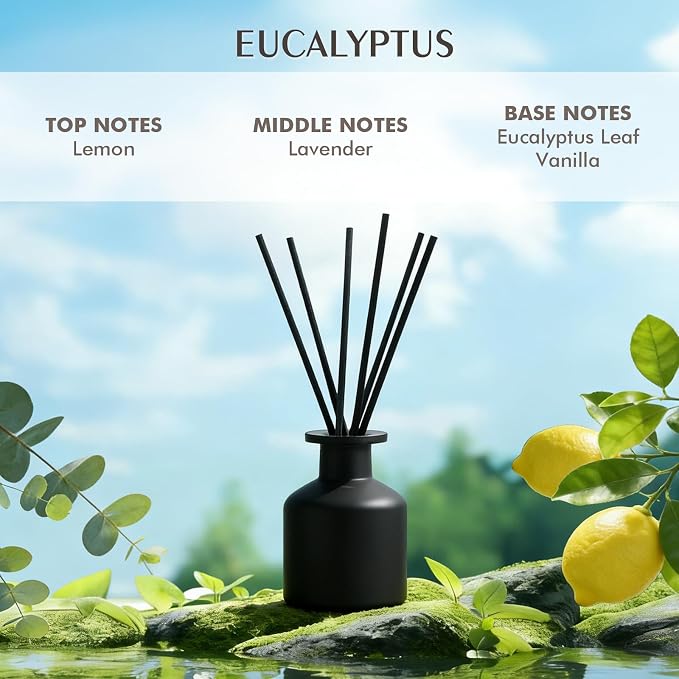 Reed Diffuser Set,Eucalyptus Home Fragrance,100ml(3.38fl.oz) with 6 Reed Sticks,for Living Room,Bedroom,Bathroom,Modern Home Decor Essential