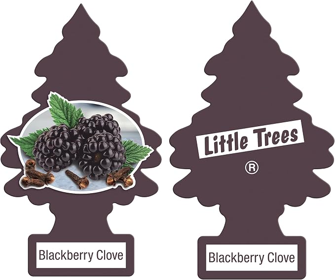 Little Trees DAS-17343 Car Air Freshener | Hanging Paper Tree for Home or Car | Blackberry Clove