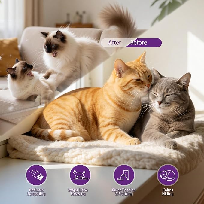 Cat Calming Pheromone Diffuser Kit (90-Day Supply) – 1 Diffuser + 3 x 48ml Refills – Helps Reduce Urine Spraying, Scratching & Fighting – Unscented Stress Relief for Single Room