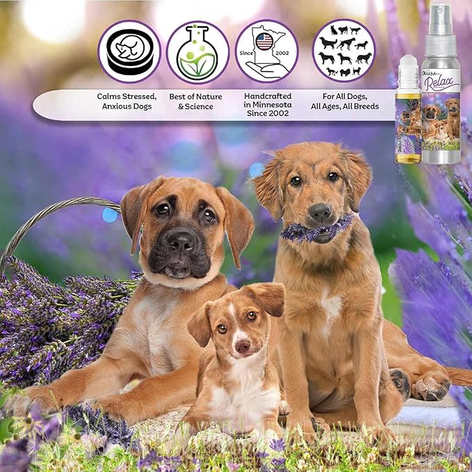 The Blissful Dog Three Cute Puppies Relax Roll-ON Aromatherapy for Dogs - Anxiety Relief for Dogs, 0.45-Ounce Roll-On
