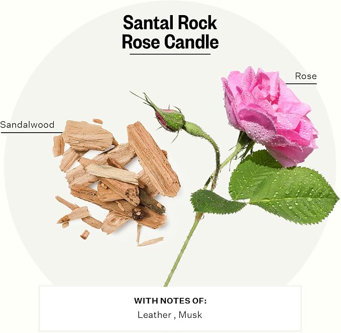 Apotheke Signature Scented Candles for Home, Santal Rock Rose - 10.5 oz - Soy Wax, Non Toxic, Large Jar White - Luxury Candle Gifts for Women & Men - Sandalwood, Rose, Musk, and Leather