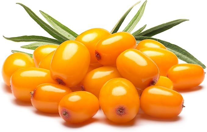 US Organic Sea Buckthorn Berry (Fruit) Oil, Supercritical CO2 extracted, USDA Certified Organic,100% Pure Virgin, Unrefined in Amber Glass Bottle, Face, Hair, spot treatment, Anti Aging, 2 oz (56 ml)
