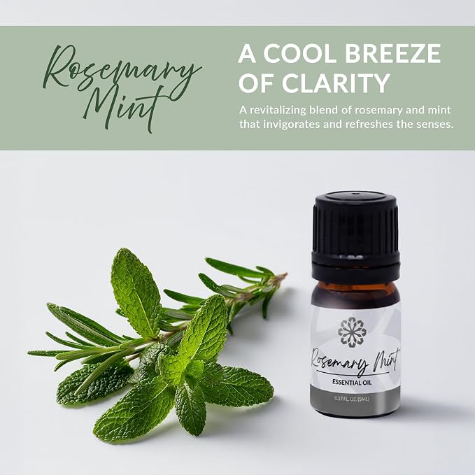 Essence Pearl Travel Case | Rosemary Mint Essential Oil | Aromatherapy Nasal Diffuser & Essential Oil Carrying Case | Peppermint & Rosemary Scent | Travel-Friendly Kit | Black Pod