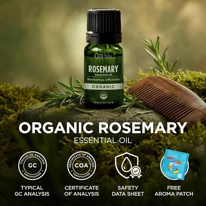 Gya Labs Organic Rosemary Essential Oil - 0.34 Fl Oz - for Skin, Hair, Diffuser, Aromatherapy, DIY Candle Making Scents