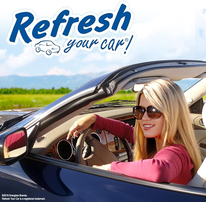 Refresh Your Car! Mini Diffuser Air Freshener (New Car/Cool Breeze Scent, 2 Pack)