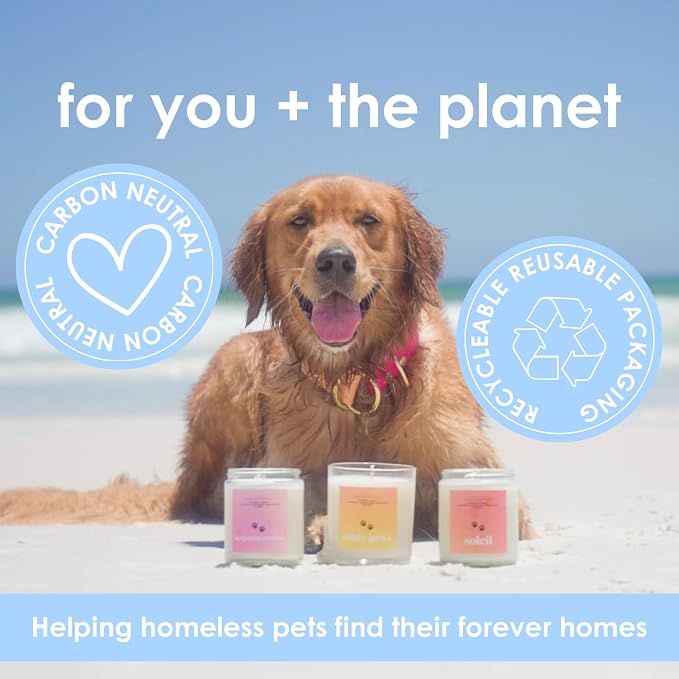 Pet Safe Wax Melts for Dogs | Non Toxic Soy Wax Melts | Natural, Paraffin-Free, Clean Burning | Odor Eliminating Wax Cubes | Walk in the Woods