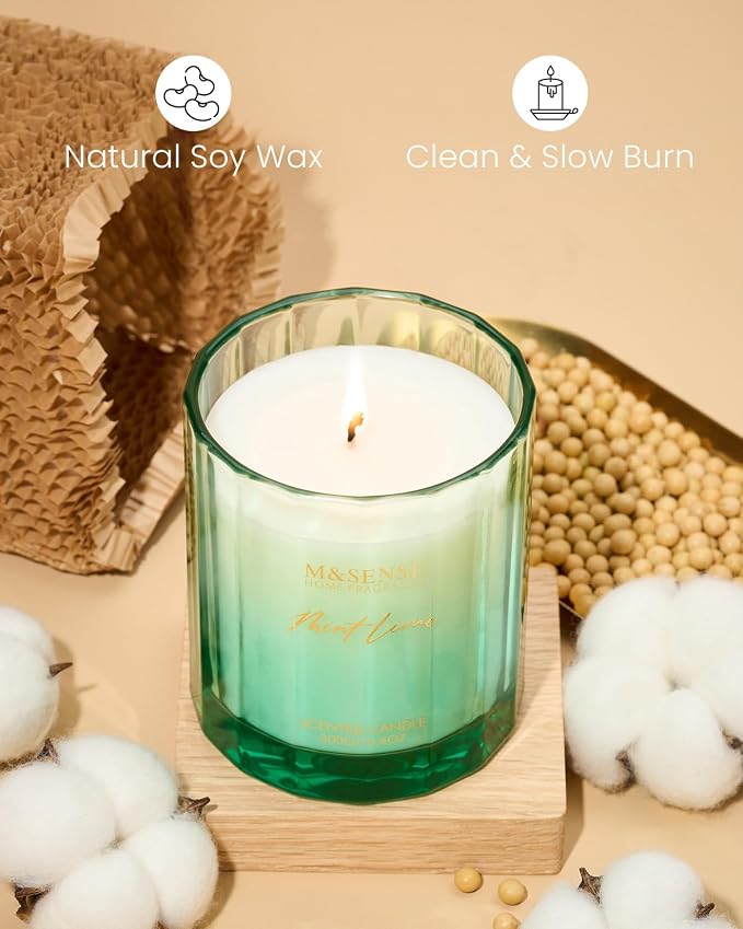 M&SENSE Citronella Mint Soy Candle, 10.6oz Indoor & Outdoor Fresh Scent | Natural Soy Wax, 60-Hour Long Lasting Burn Time, Non Toxic Relaxing Candle for Summer, Stress Relief for Family Friends