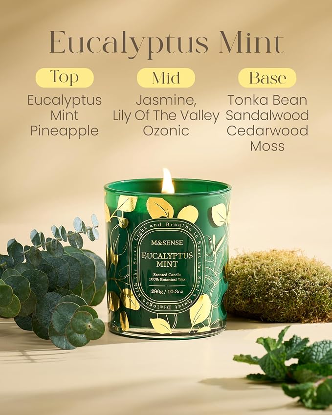 M&SENSE Eucalyptus Mint Soy Candle, Spa Breathing Long Lasting Gift | Cool Eucalyptus Spearmint Slow Burn, 55H Clean Soy Wax Cotton Wick, Bathtub Sinus Relief, Odor Exterminator, Reusable Jar