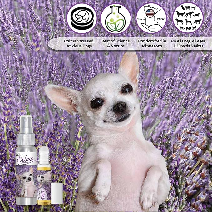 The Blissful Dog Chihuahua Relax Roll-ON Aromatherapy for Dogs - Anxiety Relief for Dogs
