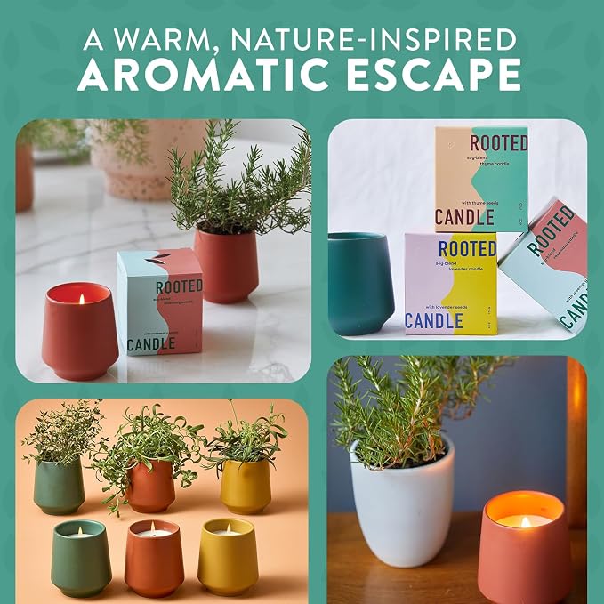 Modern Sprout - 2 in 1 Tonka Bean Scented & Soy Candle with Seeds that Grows into Thyme Plant - 6 oz w/ 42 hr Burn time in Matte Glaze Ceramic Vessel Ideal for Indoor Herb Garden