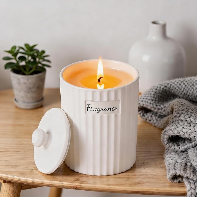 Viyffo Apple Cinnamon Holiday Scented Candle for Women & Men, Non Toxic Soy Candle in Matte White Ceramic Jar with Gift Box Perfect for Winter Gift & Home Decor