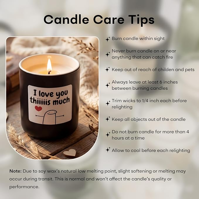 Jar Candles Gifts for Men Women, Apple Cinnamon Candles Aromatherapy Candle for Mom Girlfriends Lovers, Funny Candles for White Elephant Fathers Mothers Day Birthday Valentines