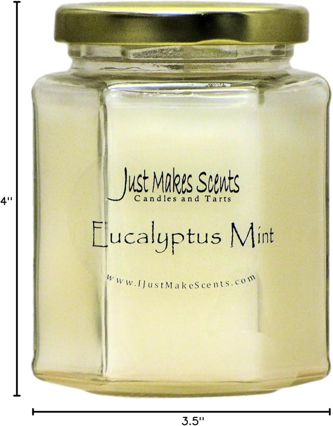 Eucalyptus Mint Scented Blended Soy Candle | Aromatherapy Stress Relief | Hand Poured in the USA by Just Makes Scents (8 oz)