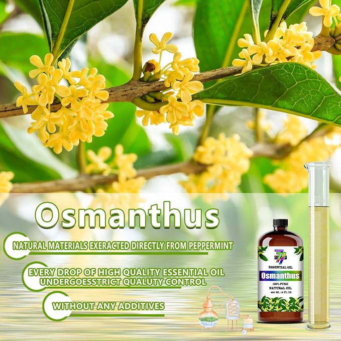 Osmanthus Essential Oil, Osmanthus Oils, for Diffuser, Home, Bedroom, Yoga, Office, Humidifier, DIY Candle Making, Soap, Gift, Essential Oil, GV77ZF Osmanthus Fragrance Oil - 16 fl oz (480 ml)