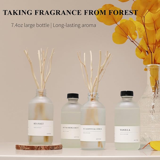 Sea Salt Reed Diffuser, 7.4oz(220ml) Sea Salt Musk and Grass Essential Oils, Bathroom Air Freshener with Willow Branches Decor, Long Lasting Fragrance for Home (1-Pack)