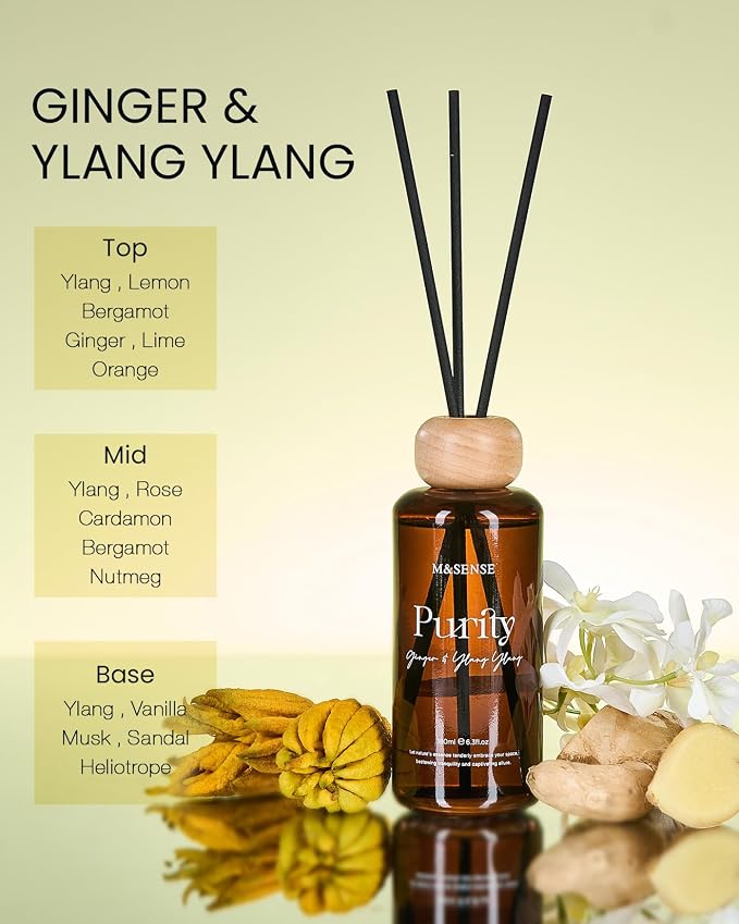 M&SENSE Reed Diffuser Set, Ginger Ylang Ylang Scented 6.3 fl oz Natural Essential Oil Diffusers with Sticks, Non-Toxic Organic Air Freshener, Long-Lasting Fragrance Oils for Home Bathroom Study Office