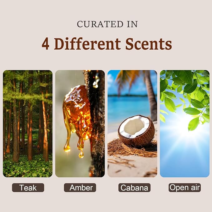 Car Air Freshener - Stone Air Freshener for Visor Clip-Long Lasting Car Odor Eliminator and Scent Diffuser for Cabin, Truck & SUV-2 Clips-Variety 4 Pack(Teak-Amber-Cabana-Open air)
