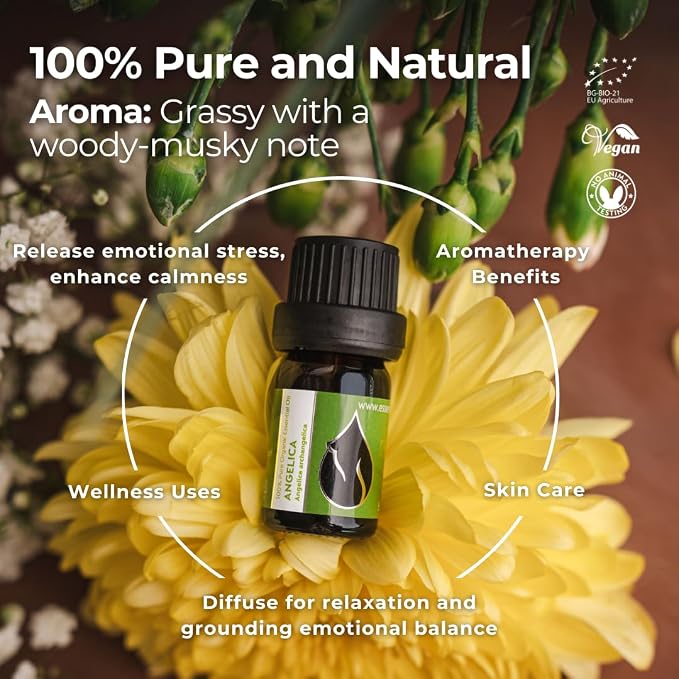 Essences Bulgaria Organic Angelica Essential Oil 1/6 Fl Oz | 5ml | Angelica archangelica | 100% Pure and Natural | Undiluted | Therapeutic Grade | Family Owned Farm | Steam-Distilled | Non-GMO | Vegan