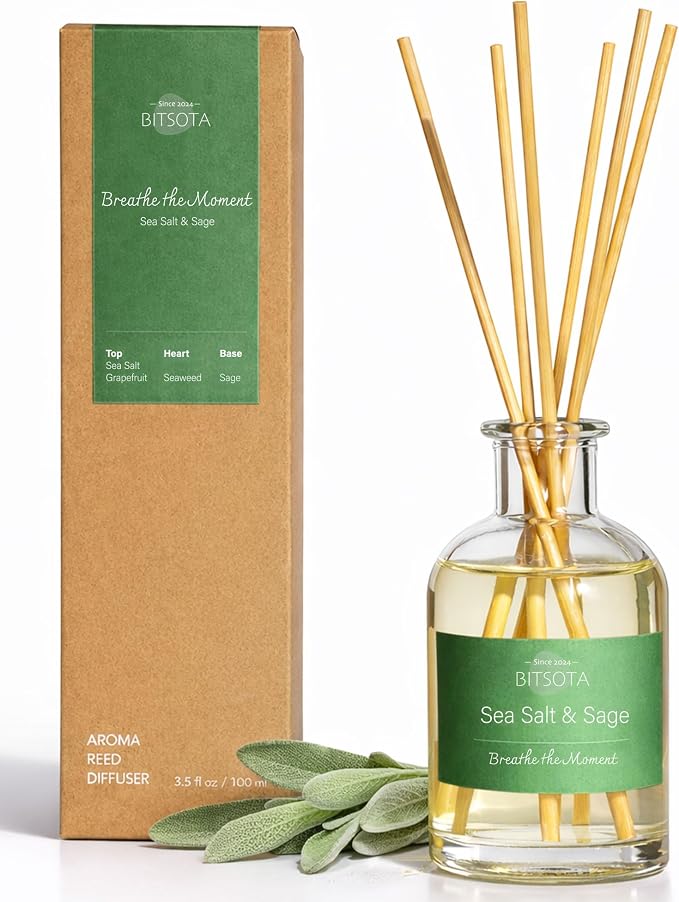 Natural Reed Diffuser Set, Sea Salt & Sage 3.52 oz (100ml) Scented Diffuser with Sticks Home Fragrance Reed Diffuser for Bathroom Shelf Decor, Ideal Gift for Woman