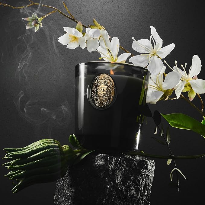 M&SENSE Natural Soy Candle | Crisp Chill & Black | 9.2 oz, 50H Burn Time | Luxury Scented Candle for Him,for Relaxation, Gifting, Home Décor | Ideal for Bedroom, Office, Party Ambiance