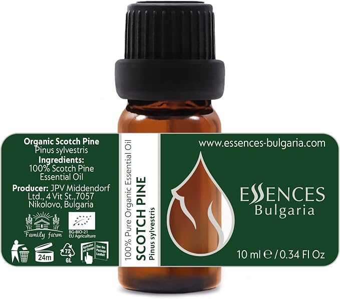 Set Forest Magic - Organic Essential Oils - Scotch Pine + Juniper + Silver Fir - 100% Pure and Natural Undiluted Aromatherapy Stress Relief Fresh Pine Resinous Aromas (3pcs x 10ml)