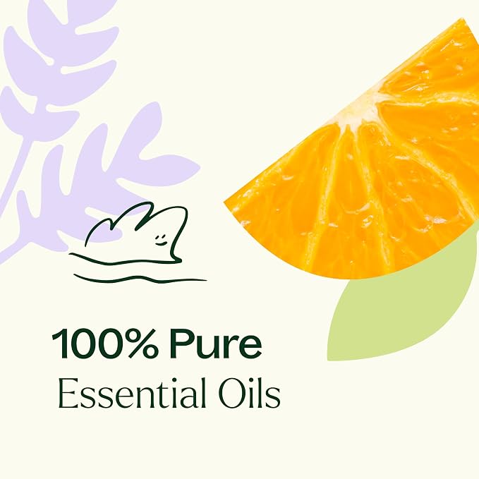 Plant Therapy Meditation Essential Oil Blend 10 mL (1/3 oz) 100% Pure, Undiluted, Calming Aromatherapy for Yoga, Mediation, and Self Care